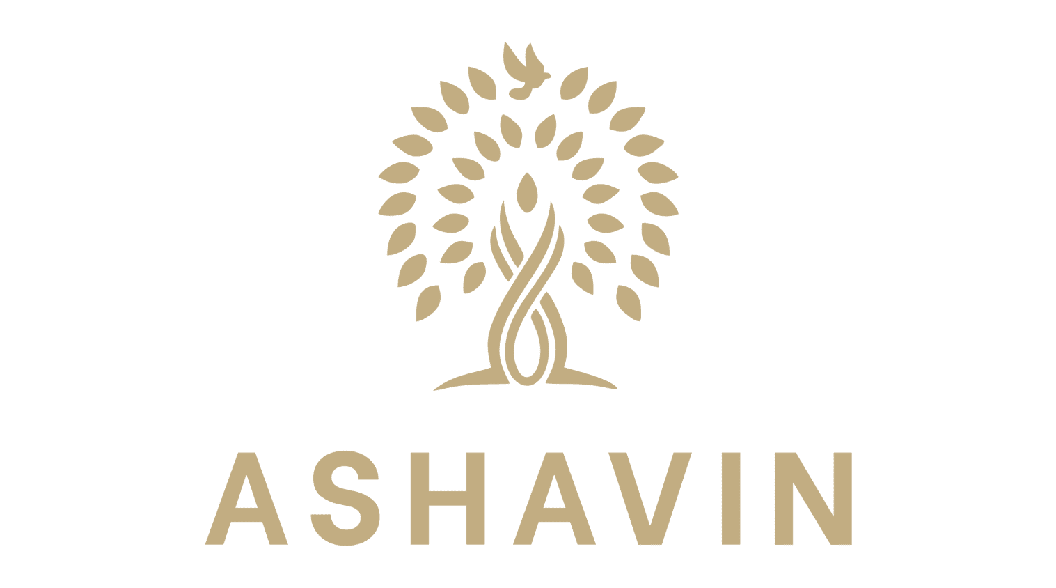 Ashavin